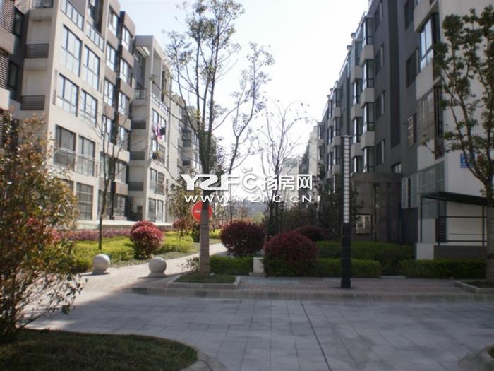 万豪西花苑靠京华城和美第昌建广场绿杨新苑兴盛花园文汇苑水晶城