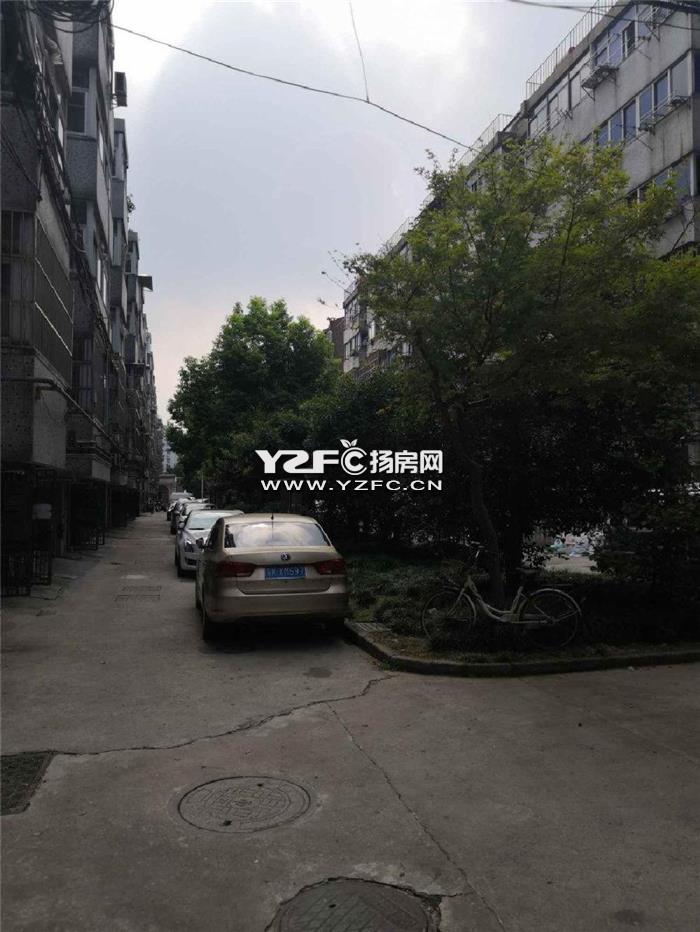 急卖 望月苑花园洋房 有电梯 车库飞机户型 双阳台 双卫高装 